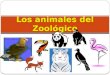 Los animales del Zoológico. El águila El flamenco
