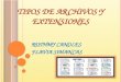 TIPOS DE ARCHIVOS Y EXTENSIONES RUTHMY CANOLES FLAVIA SIMANCAS