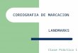 COREOGRAFIA DE MARCACION Clase Práctica 1 LANDMARKS