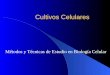 Cultivos Celulares Métodos y Técnicas de Estudio en Biología Celular