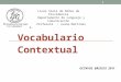 Vocabulario Contextual Liceo Siete de Niñas de Providencia Departamento de Lenguaje y Comunicación Profesora : Juana Martínez G. OCTAVOS BÁSICOS 2011 1