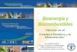 Luis Felipe Duhart Grupo Temático en Bioenergía Oficina Regional de la FAO para América Latina y el Caribe Bioenergía y Biocombustibles “Efectos en el