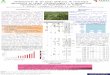 Determinación de las bases genéticas de caracteres agronómicos en cebada (Hordeum vulgare L.) en germoplasma representativo del mejoramiento en Uruguay
