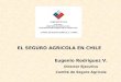 EL SEGURO AGRICOLA EN CHILE Eugenio Rodríguez V. Director Ejecutivo Comité de Seguro Agrícola