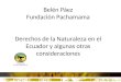 Belén Páez Fundación Pachamama Derechos de la Naturaleza en el Ecuador y algunas otras consideraciones