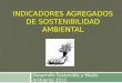 INDICADORES AGREGADOS DE SOSTENIBILIDAD AMBIENTAL Desarrollo Sostenible y Medio Ambiente 2012