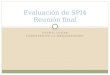 FECHA, LUGAR LOGOTIPO DE LA ORGANIZACIÓN Evaluación de SPI4 Reunión final