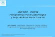 UNFCCC - COP16 Perspectivas Post-Copenhague y Hoja de Ruta Hacia Cancún Jan Kappen, Coordinador Regional de Cambio Climático, Programa de las Naciones