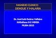 MANEJO CLINICO DENGUE Y MALARIA Dr. José Luis Suárez Vallejos HASullana II-2 MINSA PIURA 2013