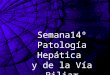 Semana14º Patología Hepática y de la Vía Biliar. Enfermedades no neoplásicas Malformaciones Malformaciones Inflamatorias: hepatitis Inflamatorias: hepatitis