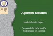 Agentes Móviles Andrés Marín López Gestión de la Información Multimedia en Internet