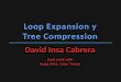 Introducción Depuración Algorítmica Dos técnicas Loop Expansion (nueva) Tree Compression (mejora) Demostración DDJ Conclusiones