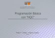 Programación Básica con “NQC” Pedro F. Toledo – Patricio Castillo 13/05/2006
