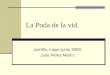 La Poda de la vid. Jumilla, mayo-junio 2009. Julio Pérez Marín