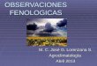 OBSERVACIONES FENOLOGICAS M. C. José G. Lorenzana S. Agroclimatología Abril 2013