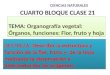 CUARTO BLOQUE CLASE 21 TEMA: Organografía vegetal: Órganos, funciones: Flor, fruto y hoja DESTREZA: Describir la estructura y función de la flor, fruto
