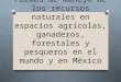 Formas de manejo de los recursos naturales en espacios agrícolas, ganaderos, forestales y pesqueros en el mundo y en México