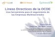 Líneas Directices de la OCDE Una herramienta para el seguimiento de las Empresas Multinacionales Esteban Serrani Fundación SES – OECD WATCH - Latindadd
