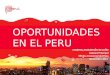 Gdgsdfgdsf hfhfghghg OPORTUNIDADES EN EL PERU MARTHA ANHUAMÁN DE LEÓN Aserora Principal Oficina Comercial del Perú Noviembre 2013
