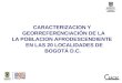 CARACTERIZACION Y GEORREFERENCIACIÓN DE LA LA POBLACION AFRODESCENDIENTE EN LAS 20 LOCALIDADES DE BOGOTÁ D.C