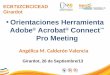 ECBTI/ZCBC/CEAD Girardot Orientaciones Herramienta Adobe ® Acrobat ® Connect ™ Pro Meeting Angélica M. Calderón Valencia Girardot, 26 de Septiembre/13