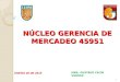 NÚCLEO GERENCIA DE MERCADEO 45951 MBA. GUSTAVO CELÍN VARGAS 1 ENERO 26 DE 2015