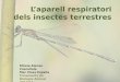 L’aparell respiratori dels insectes terrestres