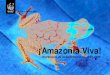 Amazonia Viva - Una década de descubrimientos: 1999-2009