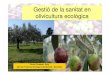 Gestió de la sanitat en olivicultura ecològica