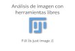 Análisis de imagen con herramientas libres FIJI (is just image J)