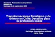 Transformaciones Familiares y de Género en Chile: Desafíos para la protección social IRMA ARRIAGADA Socióloga, Investigadora visitante CEM- Chile Seminario
