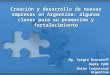 Creación y desarrollo de nuevas empresas en Argentina: algunas claves para su promoción y fortalecimiento Mg. Sergio Drucaroff Depto PyMI Unión Industrial
