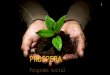 PROSPERA Programa social 1. El programa oportunidades se transforma en Prospera. Con ello, todos sus beneficiarios seguirán recibiendo los apoyos que