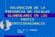 VALORACION DE LA PRESENCIA DE CELULAS GLANDULARES EN LOS FROTIS CERVICOVAGINALES Dra. Mª A. TORROBA CARON
