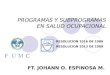 PROGRAMAS Y SUBPROGRAMAS EN SALUD OCUPACIONAL FT. JOHANN O. ESPINOSA M. RESOLUCION 1016 DE 1986 RESOLUCION 2013 DE 1989