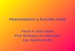 Homeostasis y función renal Paula A. Aedo Salas Prof. Biología y Cs Naturales Ing. Agrónomo (E)