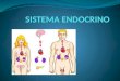 El sistema endocrino u hormonal es un conjunto de órganos y tejidos que liberan sustancias llamadas hormonal las cuales se encargan de comunicar, controlar