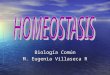 Biología Común M. Eugenia Villaseca R. Etimología: El término homeostasis deriva de la palabra griega "homeo" que significa igual, y "stasis" que significa