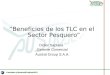“Beneficios de los TLC en el Sector Pesquero” Didier Saplana Gerente Comercial Austral Group S.A.A