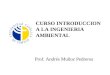 CURSO INTRODUCCION A LA INGENIERIA AMBIENTAL Prof. Andrés Muñoz Pedreros
