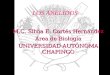 LOS ANELIDOS M.C. Silvia E. Cortés Hernández Área de Biología UNIVERSIDAD AUTÓNOMA CHAPINGO