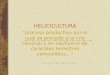 HELICICULTURA “proceso productivo por el cual se procede a la cría racional y en cautiverio de caracoles terrestres comestibles...”