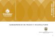 1 SUBGERENCIA DE PESCA Y ACUICULTURA. ACCIONES IMPLEMENTADAS EN COLOMBIA EN EL SEGUIMIENTO, CONTROL Y VIGILANCIA DE LAS ACTIVIDADES PESQUERAS PREVENIR