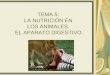 TEMA 5: LA NUTRICIÓN EN LOS ANIMALES. EL APARATO DIGESTIVO
