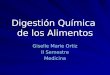 Digestión Química de los Alimentos Giselle Marie Ortiz II Semestre Medicina