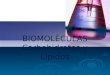 BIOMOLÉCULAS Carbohidratos y Lípidos. Contenido Objetivos de la clase  Identificar las características estructurales y funcionales de las biomoléculas
