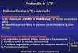 Metabolismo Anaeróbico (con deficit oxigeno) (1er forma de producir ATP) 1.-El sistema de ATP-PC (o fosfágeno) (1er forma de producir ATP) 2.-Glucólisis