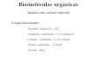 Biomoléculas orgánicas Química del carbono reducido Grupos funcionales: Alcohol: hidroxilo –OH Aldehído: carbonilo –C=O terminal Cetona : carbonilo –C=O