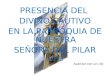 PRESENCIA DEL DIVINO CAUTIVO EN LA PARROQUIA DE NUESTRA SEÑORA DEL PILAR 2.013 Avanzar con un clik
