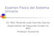 Examen Físico del Sistema Urinario Dr. MsC Rolando José Garrido García Especialista de Segundo Grado en MGI Profesor Asistente